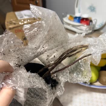 Sağlıksız Fide Gönderimi Ve Fazla Ücret Alımı Sonrası İade Talebim