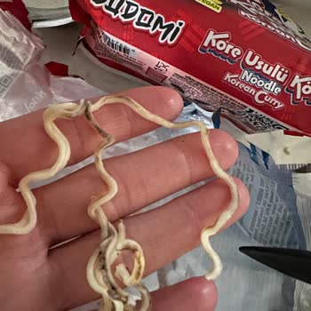 Dudomi Köri'de Yabancı Madde Şoku: Hijyen Sorunu Ve Söz Verilen Telafi Ürünleri Gönderilmedi