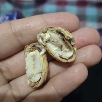 A101'den Alınan Çerezya Fıstıklarında Sürekli Hijyen Sorunu Ve İlgisizlik