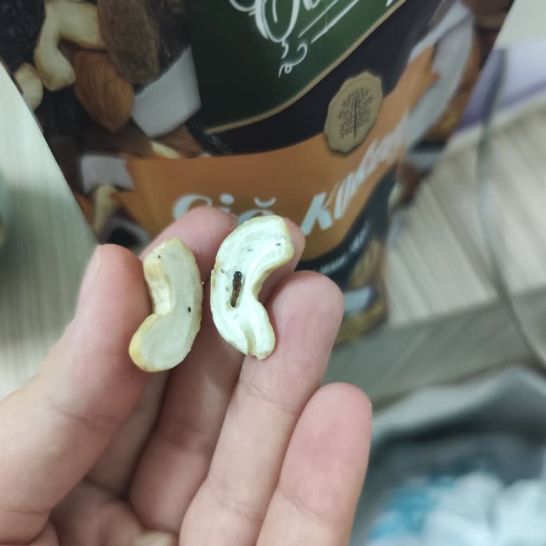 A101den Aldığım Çerezya Kajuda Böceklenme İle Karşılaştım Hijyen Endişesi Yaşıyorum