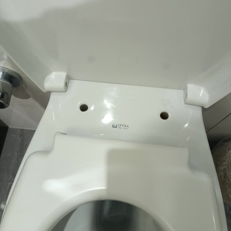 Klozet Kapak Menteşesi Sorunu Ve Yedek Parça Temininde Yaşanan Mağduriyet