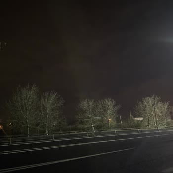 Vib Turizm'den Şikayetçiyim