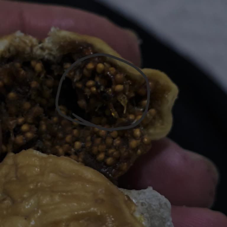 Paketli Kuru İncirden Böcek Ve Küf Çıktı, Gıda Güvenliği İhlali Yaşadım