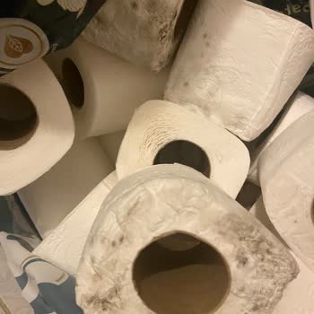 Yöntem Kağıt Evo Tuvalet Kağıdı Küflendi