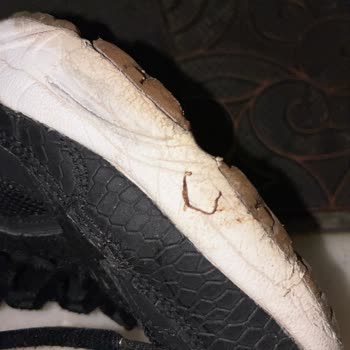 Skechers Ayakkabıda Kısa Sürede Aşırı Yıpranma ve Hayal Kırıklığı