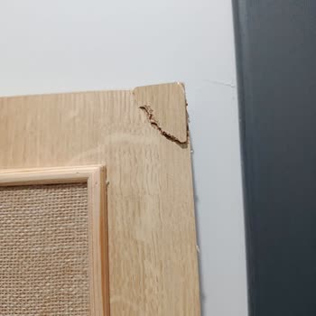 Hasarlı Ve Kalitesiz Ürün Teslimatı Sonrası İade Talebime Cevap Alamıyorum