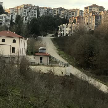 Sakarya Korucuk Mahallesi'nde Artan Saldırgan Köpekler Nedeniyle Aileler Kendini Güvende Hissetmiyor