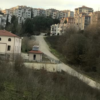 Sakarya Korucuk Mahallesi'nde Artan Saldırgan Köpekler Nedeniyle Aileler Kendini Güvende Hissetmiyor