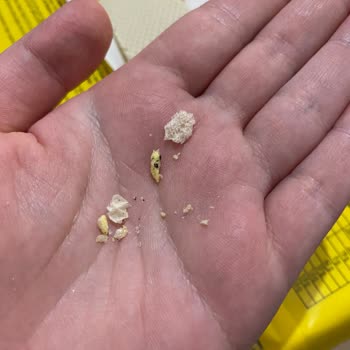 BİM'den Alınan Ürünlerde Hijyen Sorunu: Muzlu Gofrette Şüpheli Maddeler