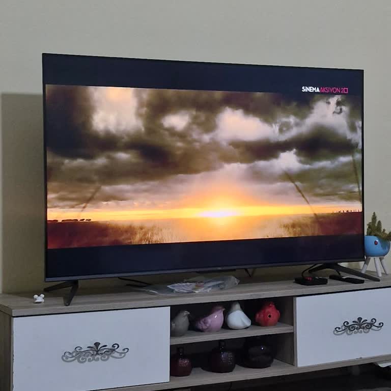 Yeni Alınan TCL Televizyonda Kurulum Sonrası Görüntü Problemleri Ve Çözüm Beklentisi