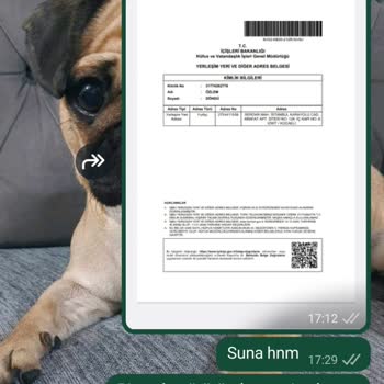 Kişisel Bilgilerimle İzinsiz İşlem Yapılmasından Endişeliyim