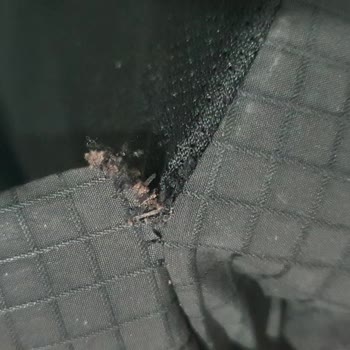 Adidas Okul Çantam Kısa Sürede Yırtıldı, Değişim Talebim Gerekçesiz Reddedildi