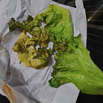Burger Ye Sağlıksız Hamburger Nedeniyle Çocuğum Hastalandı
