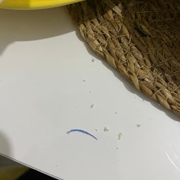 Satın Aldığım Ekmekten Yabancı Madde Çıkması Ve Hijyen Sorunu