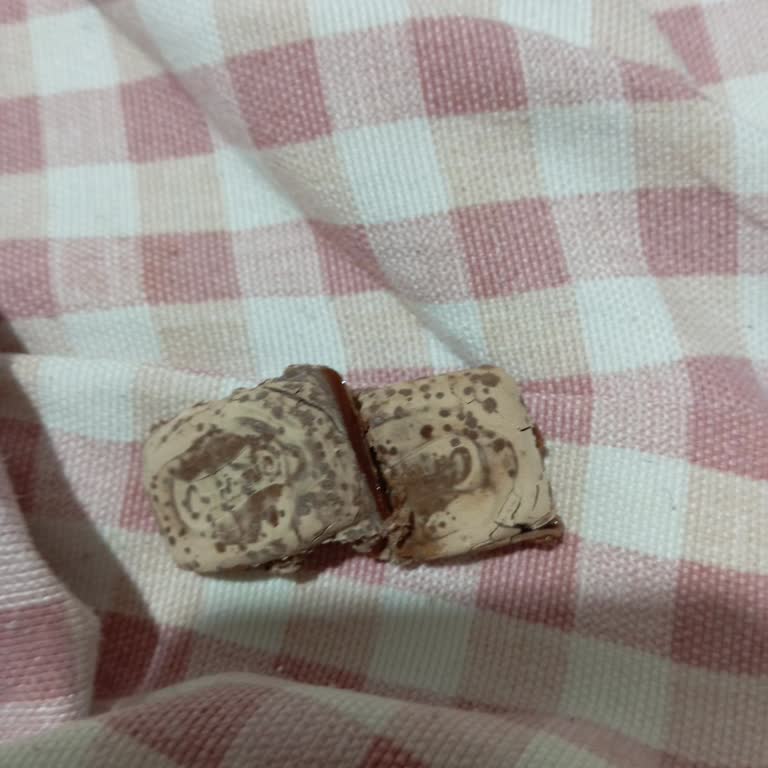 Ülker Caramio Çikolata Hem Görüntü Hem De Kalite Olarak Tüketilecek Durumda Değildi!