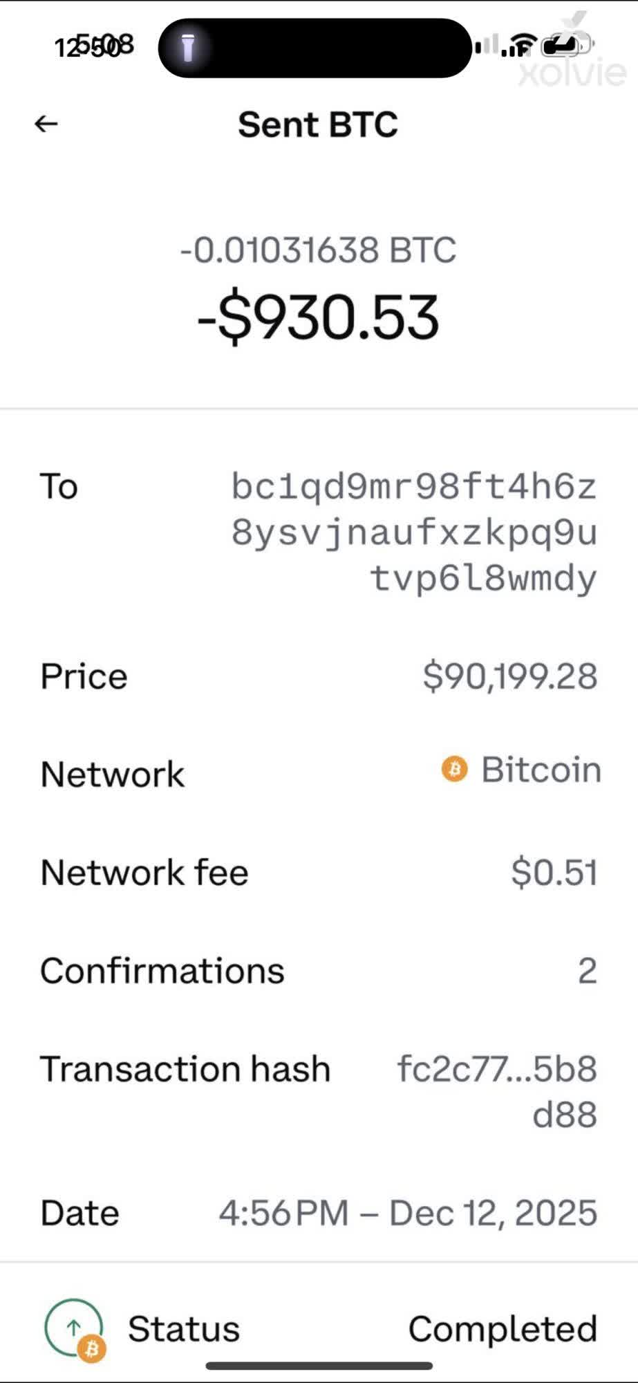 Request to Recover Trust Wallet Funds After App Deletion Without Recovery  Phrase - Xolvie
