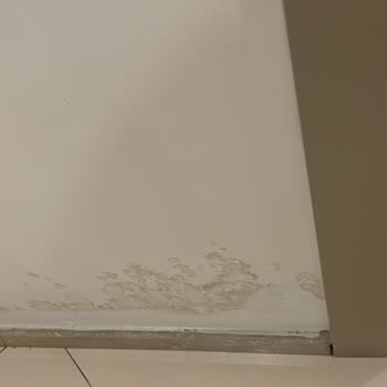 Aktif Yaşam Site Yönetimi'nin İhmalinden Kaynaklanan Su Sızıntısı ve Ortak Alan Hasarları