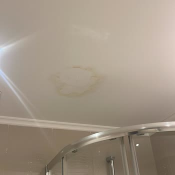 Aktif Yaşam Site Yönetimi'nin İhmalinden Kaynaklanan Su Sızıntısı ve Ortak Alan Hasarları