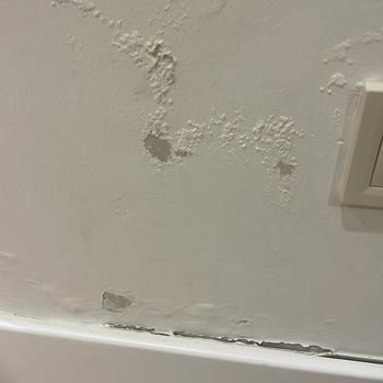 Aktif Yaşam Site Yönetimi'nin İhmalinden Kaynaklanan Su Sızıntısı ve Ortak Alan Hasarları