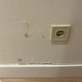 Aktif Yaşam Site Yönetimi'nin İhmalinden Kaynaklanan Su Sızıntısı ve Ortak Alan Hasarları