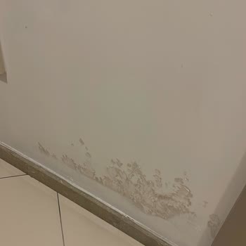 Aktif Yaşam Site Yönetimi'nin İhmalinden Kaynaklanan Su Sızıntısı ve Ortak Alan Hasarları