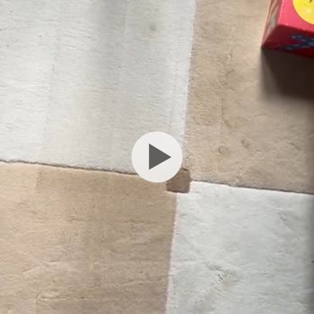 Dyson Süpürge Başlığı Halılarımda İz Ve Deformasyon Oluşturuyor, Çözüm Bekliyorum