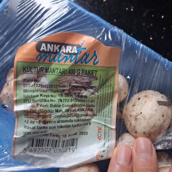Migros'tan Aldığım Mantarlar Bozuk Çıktı, İade Ve Denetim Talebim Var