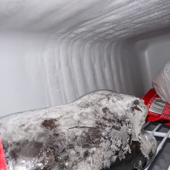 Uzun Süreli Elektrik Kesintisi Nedeniyle Mağduriyet Ve Eşyaların Zarar Görmesi