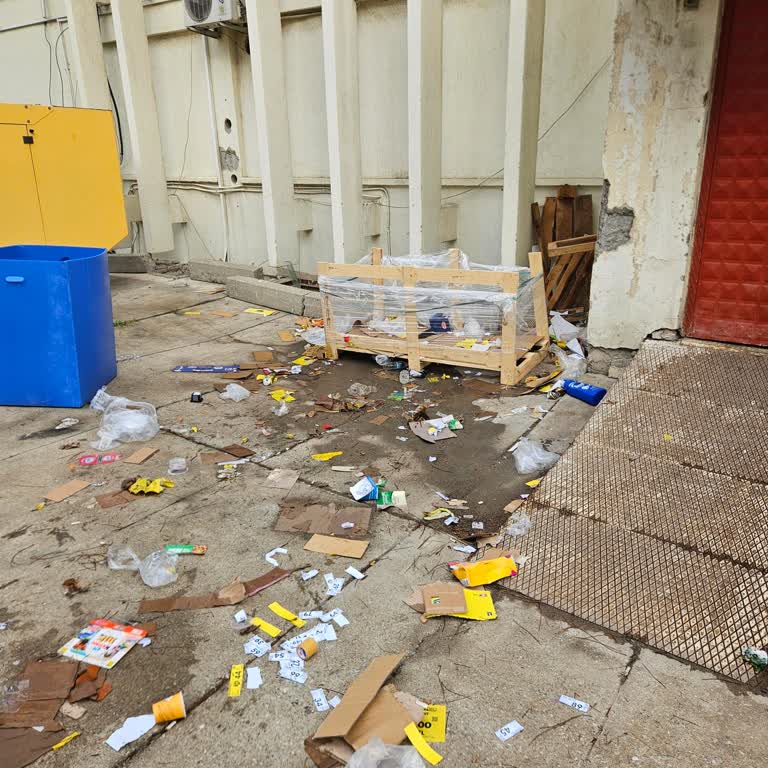 Şok Market Şubesinin Karton Atık Yönetimindeki İhmal Çevre Kirliliğine Yol Açıyor