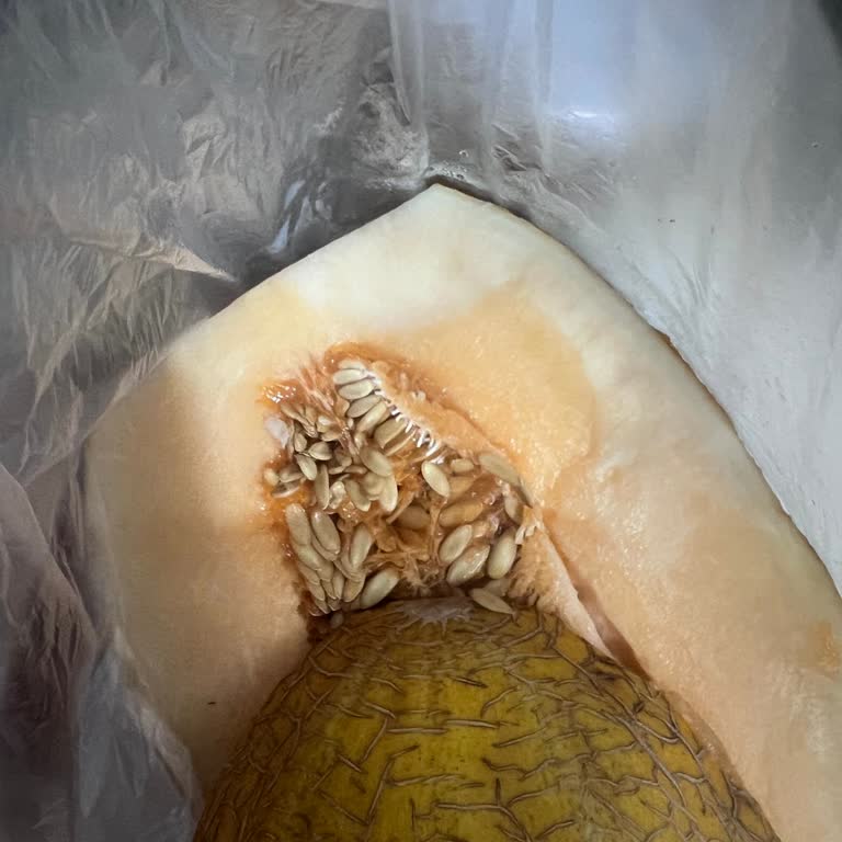 Bebek İçin Aldığımız Kavun Sert Ve Olgunlaşmamış Çıktı Paramızın İadesini İstiyoruz