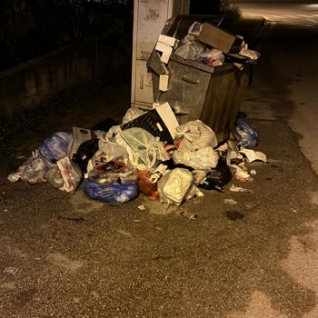 Akpınar Mahallesi'nde Yetersiz Çöp Konteyneri Nedeniyle Süregelen Kirlilik Ve İlgisizlik