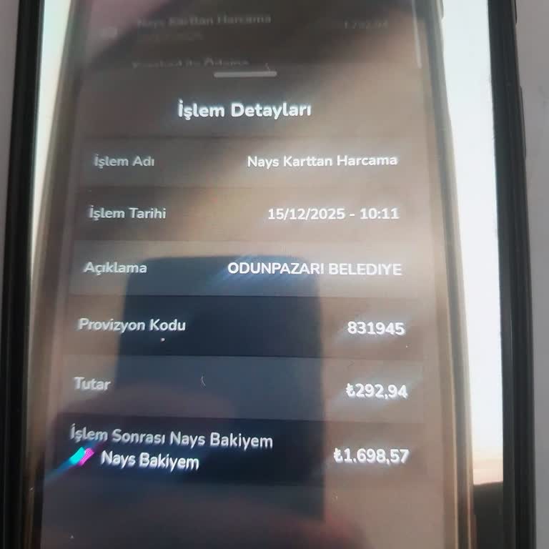 Nays İle Yapılan Emlak Vergisi Ödemesi Kayboldu, Destek Alamıyorum Ve Mağdur Oldum