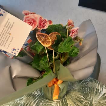 Görsele Uygun Olmayan Ürün Ve İade Talebimin Reddedilmesi Nedeniyle Hayal Kırıklığı