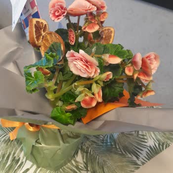 Görsele Uygun Olmayan Ürün Ve İade Talebimin Reddedilmesi Nedeniyle Hayal Kırıklığı