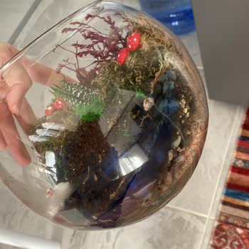 Bozuk Ve Kullanılamaz Hediye: Çiçek Sepeti'nden Hayal Kırıklığı Ve Çözüm Eksikliği