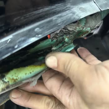 Yetkili Serviste Yapılan Hata Sonucu Araçta Hasar Ve Yetersiz Müşteri Desteği