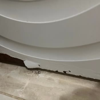 Bosch Çamaşır Makinesinde Paslanma Ve Garanti Kapsamında Eşitsizlik