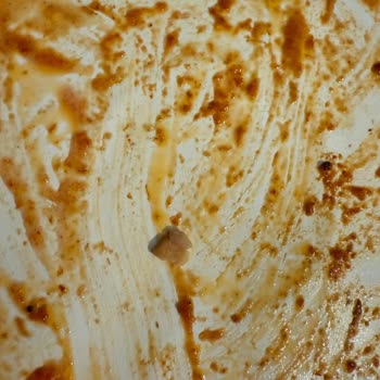 Çemen’s Gurme Hazır Mantıdan Kemik Parçası Çıkması Sonucu Sağlık Riski Ve Mağduriyet