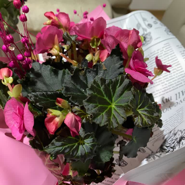 Taze Çiçek | Tazecicek.com Siparişimde Gelen Çiçek Beklediğimden Çok Farklı Ve Bakımsızdı!