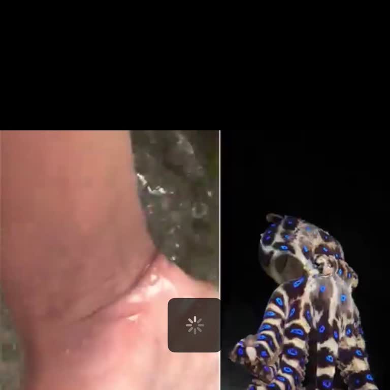 Vodafone’da Tam Sinyalde Bile İnternete Bağlanamıyorum Sosyal Medya Videoları Açılmıyor