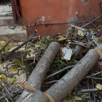 İBB Budama Ekibi Nedeniyle Bahçemde Maddi Zarar Ve Bilgilendirme Eksikliği