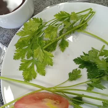 Acil Sağlık Nedeniyle Erken Çıkışta İade Yapılmadı Kötü Hizmet Ve Hijyen Sorunları Yaşadım