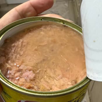 Migros'tan Aldığım Fide Ton Balığı Bozuk Çıktı