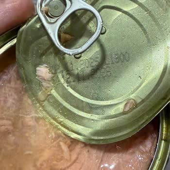 Migros'tan Aldığım Fide Ton Balığı Bozuk Çıktı