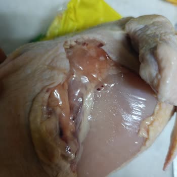 Aldığım Tavukta Sağlıksız Yapı Çıktı, Uzaktan İade Ve Bilgilendirme İstiyorum