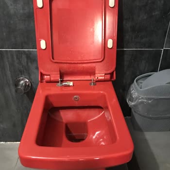 Seramiksan Klozet Kapağı Menteşesi Kısa Sürede Bozuldu, Parça Temini İçin Destek İstiyorum