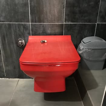 Seramiksan Klozet Kapağı Menteşesi Kısa Sürede Bozuldu, Parça Temini İçin Destek İstiyorum