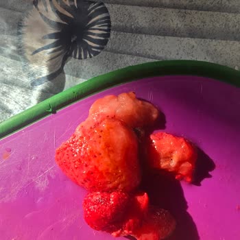 Migros’tan Aldığım Donmuş Çilekler Bozuk Çıktı