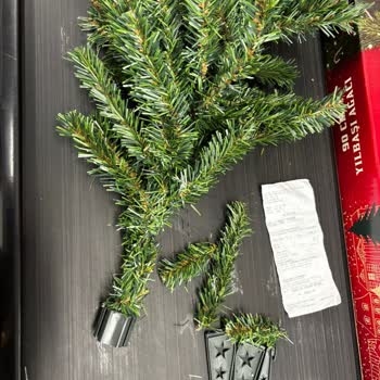 Ayıplı Çam Ağacı İadesi İçin Verilen Sözler Tutulmadı, Mağduriyetim Giderilmiyor