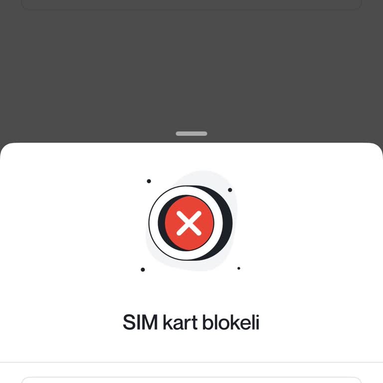 Sim Kart Blokesi Nedeniyle Hesabıma Erişemiyorum, Destek Alamıyorum